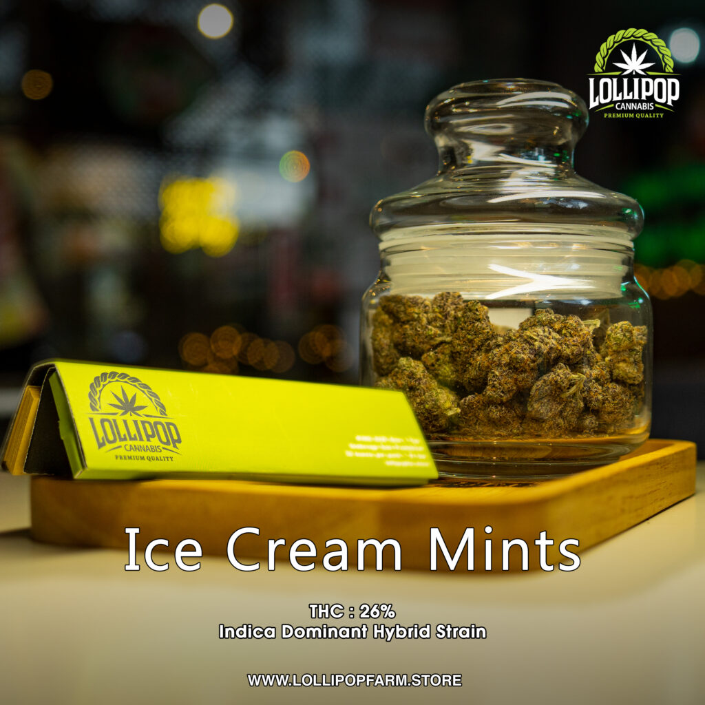 Ice cream mints,Thc26, Hybrid, indica, indica dominant hybrid,