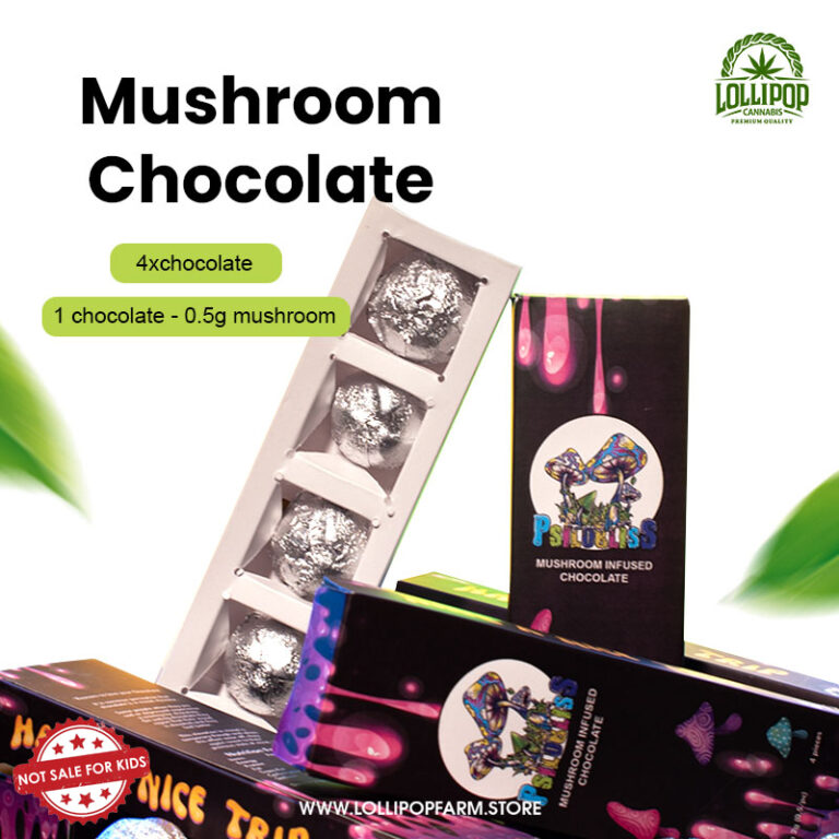 Mushroom-Chocolate_0