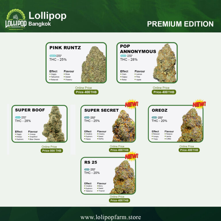 11 lineup Premium-bkk