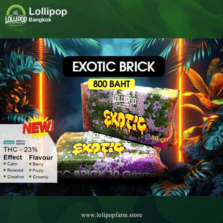 14 tue exotic brick