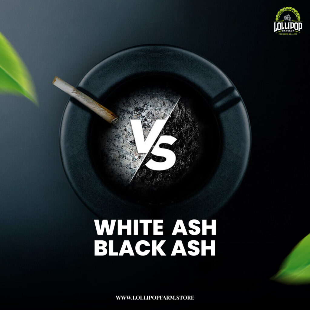 Graphic display about white ash VS black ash