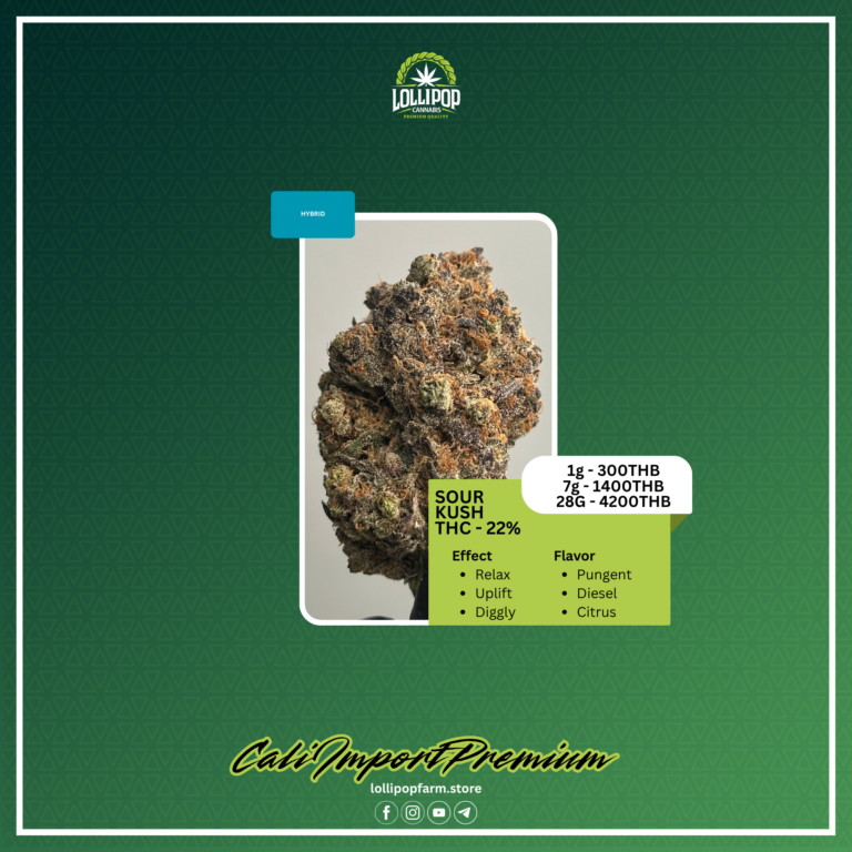 Thailand New (94)