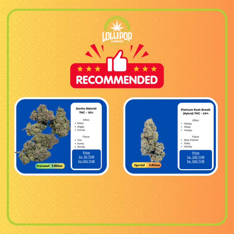 November 5 of BKK Lineup