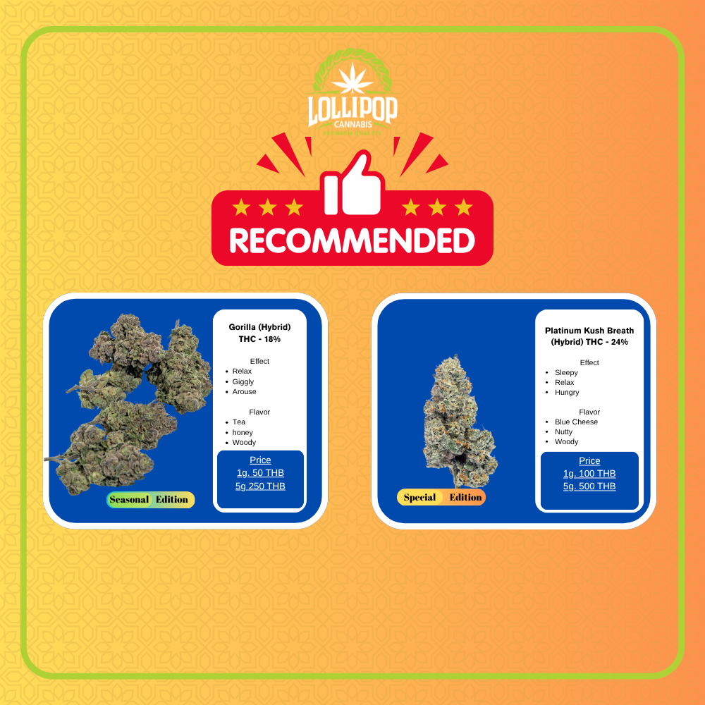 November 5 of BKK Lineup