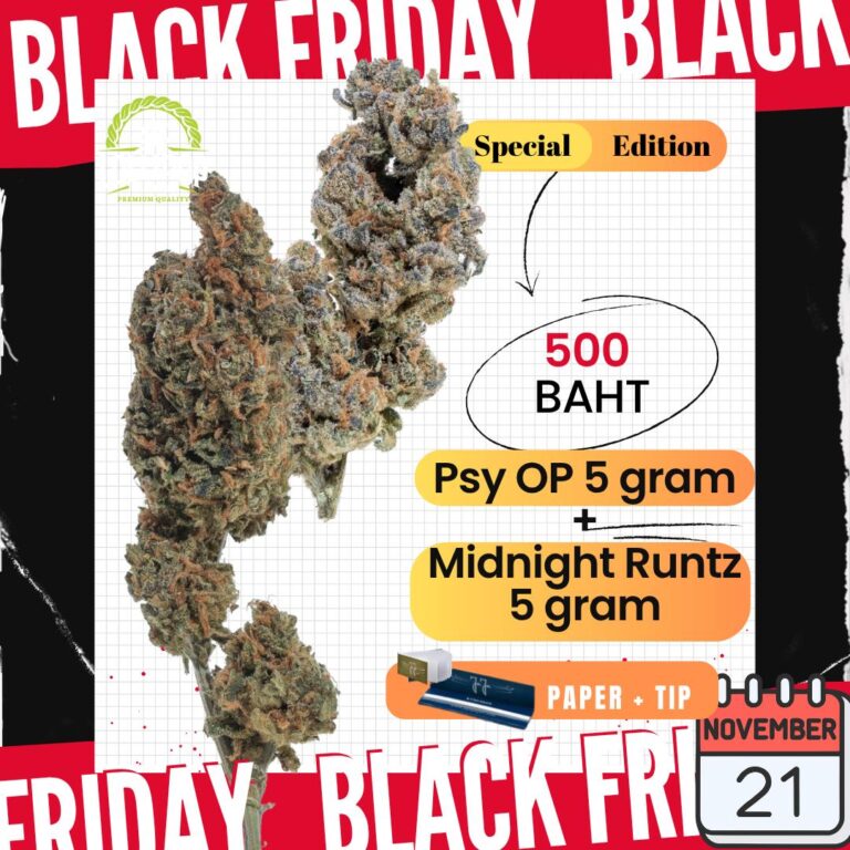 photo_2025-11-20_16-11-29